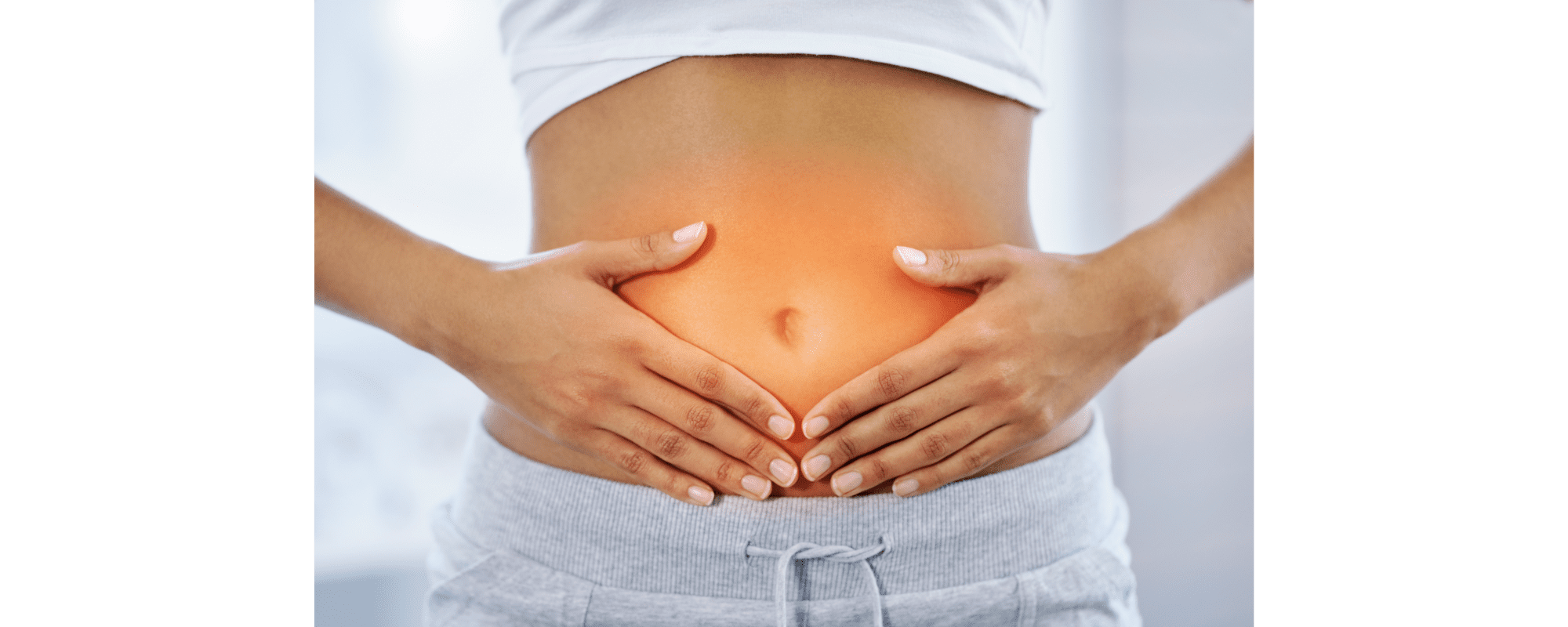 microbiota intestinal